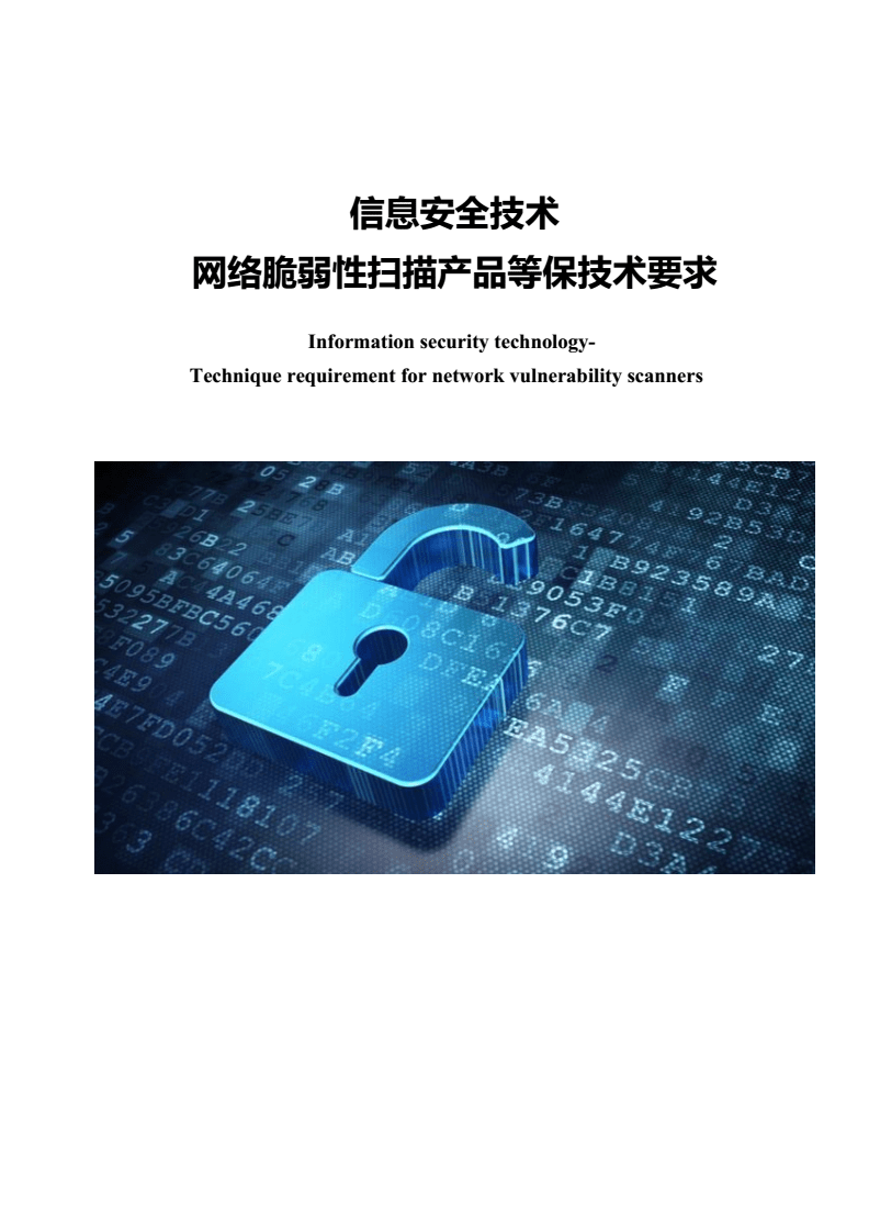 基于等保2.0的网络脆弱性扫描产品技术要求与技术服务解析